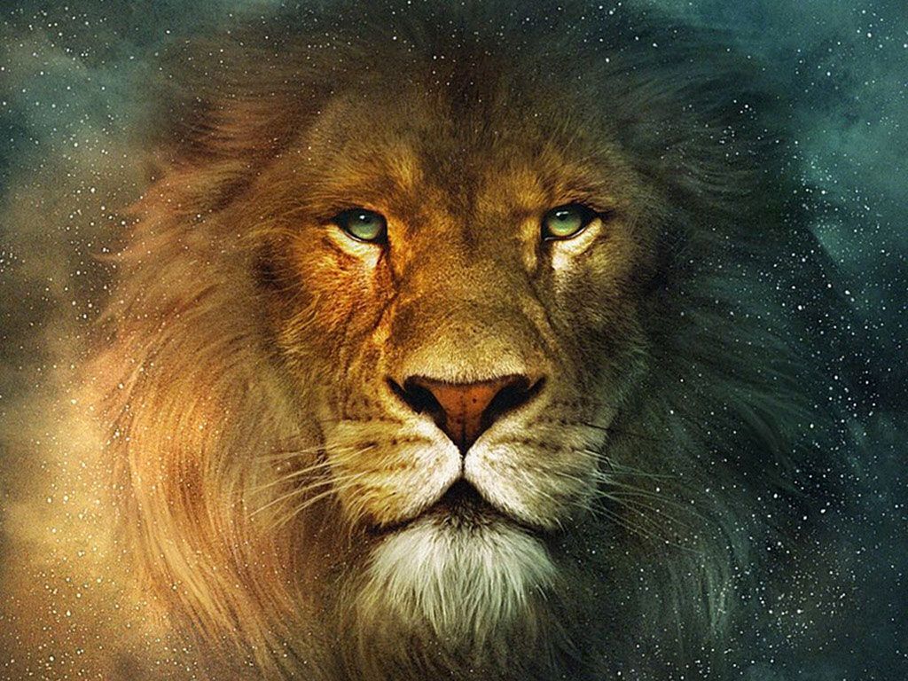 Lion Wallpapers 4k - HD Wallpaper 