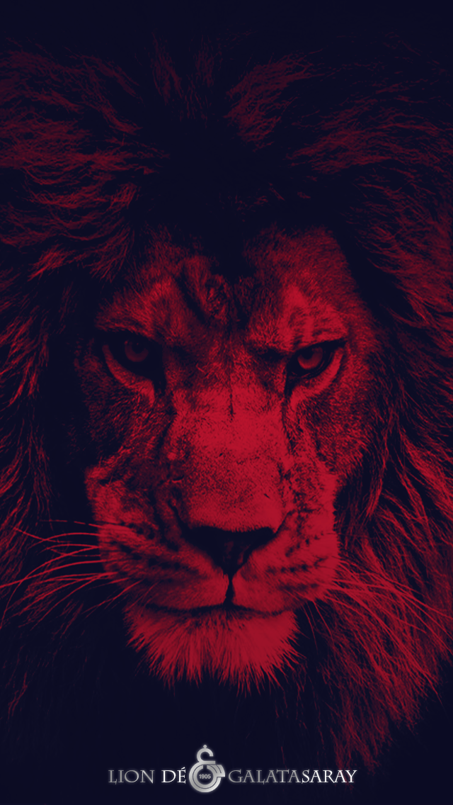 Lion Phone Wallpaper - Galatasaray Wallpaper Hd Phone - HD Wallpaper 