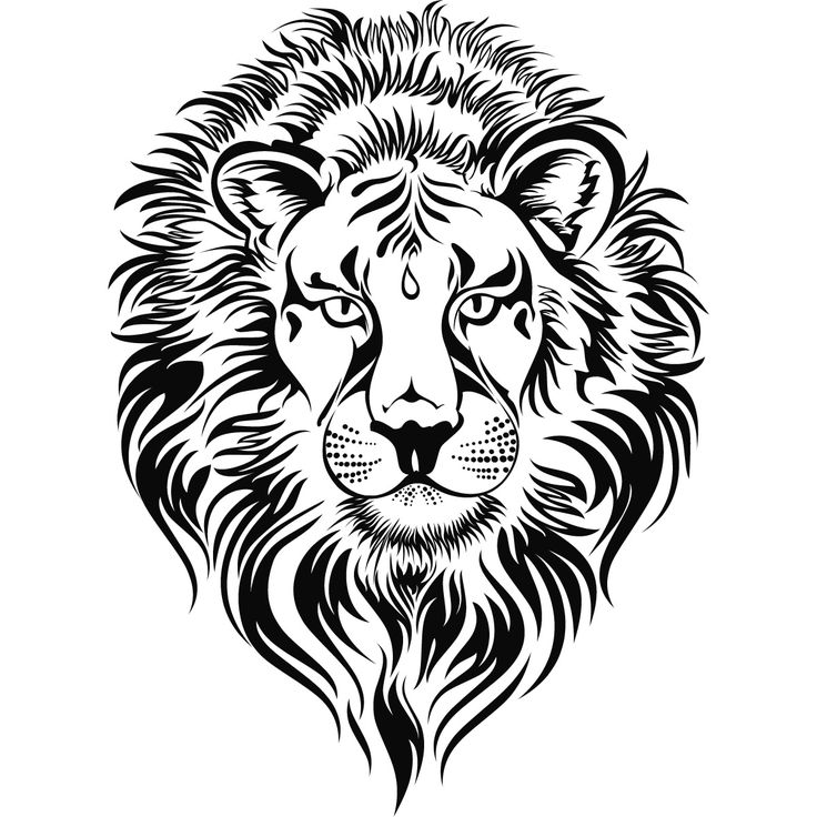 Roaring Lion Head Images Free Download Clipart - Lion Face Line Drawing - HD Wallpaper 