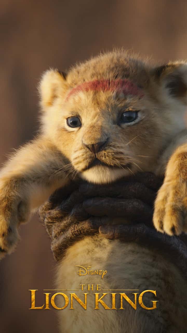 Disney And Lion King Image - Lion King Wallpaper 2019 - HD Wallpaper 