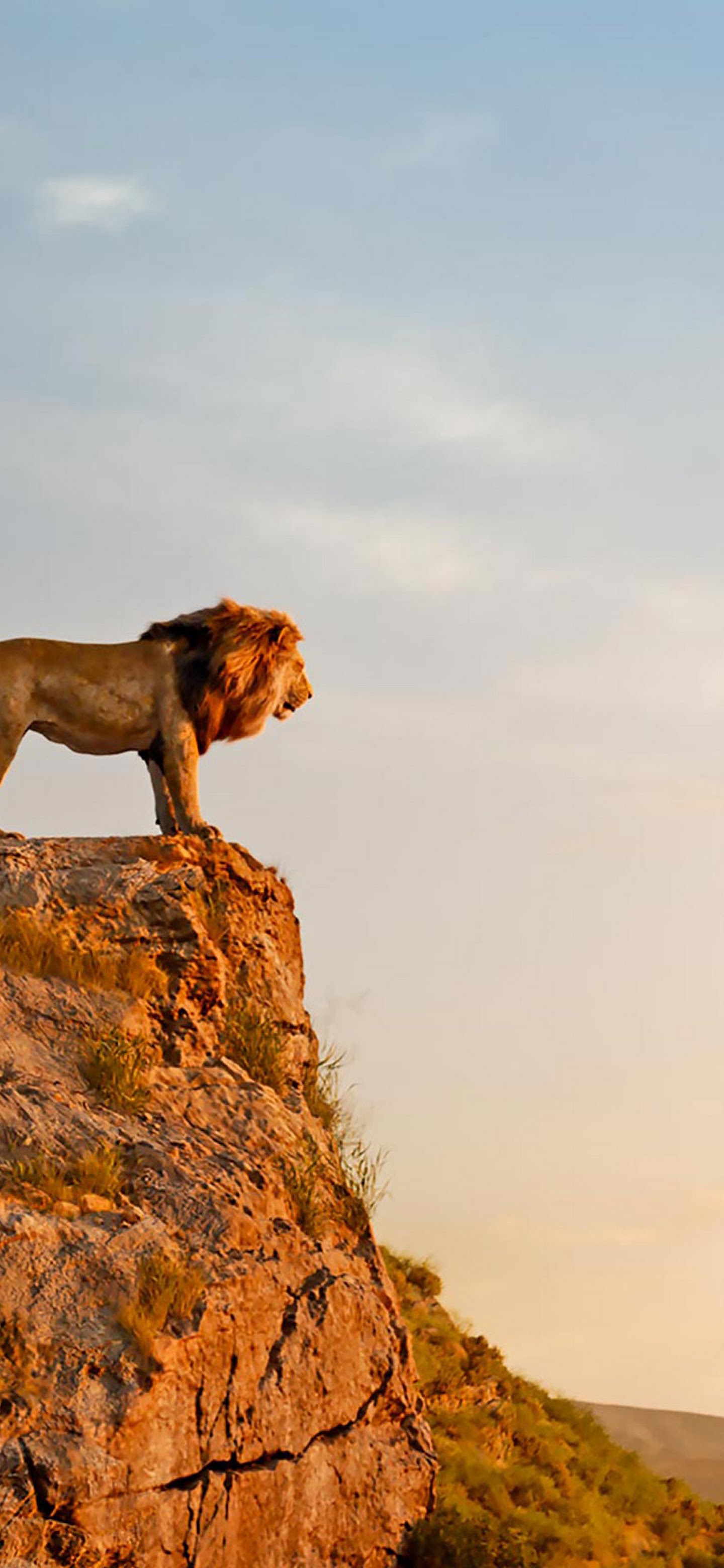 The Lion King, 2019, Mufasa, Simba, 4k, - Lion King 2019 Wallpaper Iphone - HD Wallpaper 