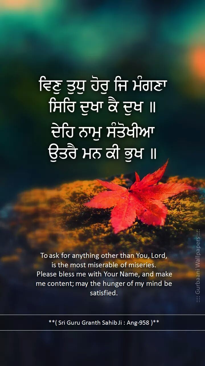 Shri Guru Granth Sahib Ji Quotes - 720x1282 Wallpaper - teahub.io