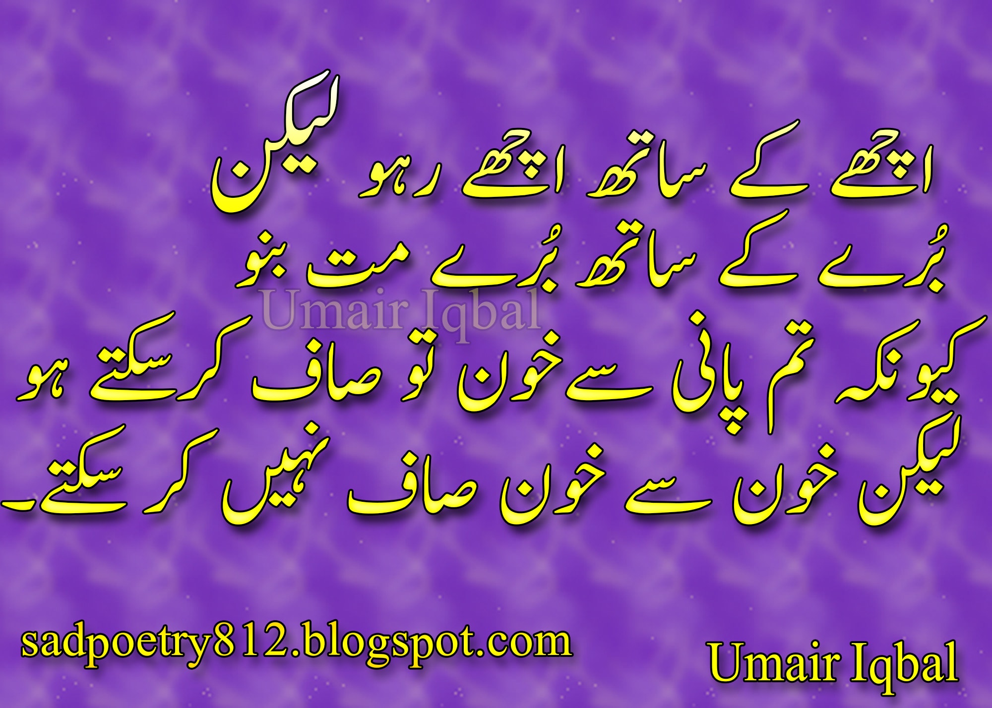 Lilac - HD Wallpaper 