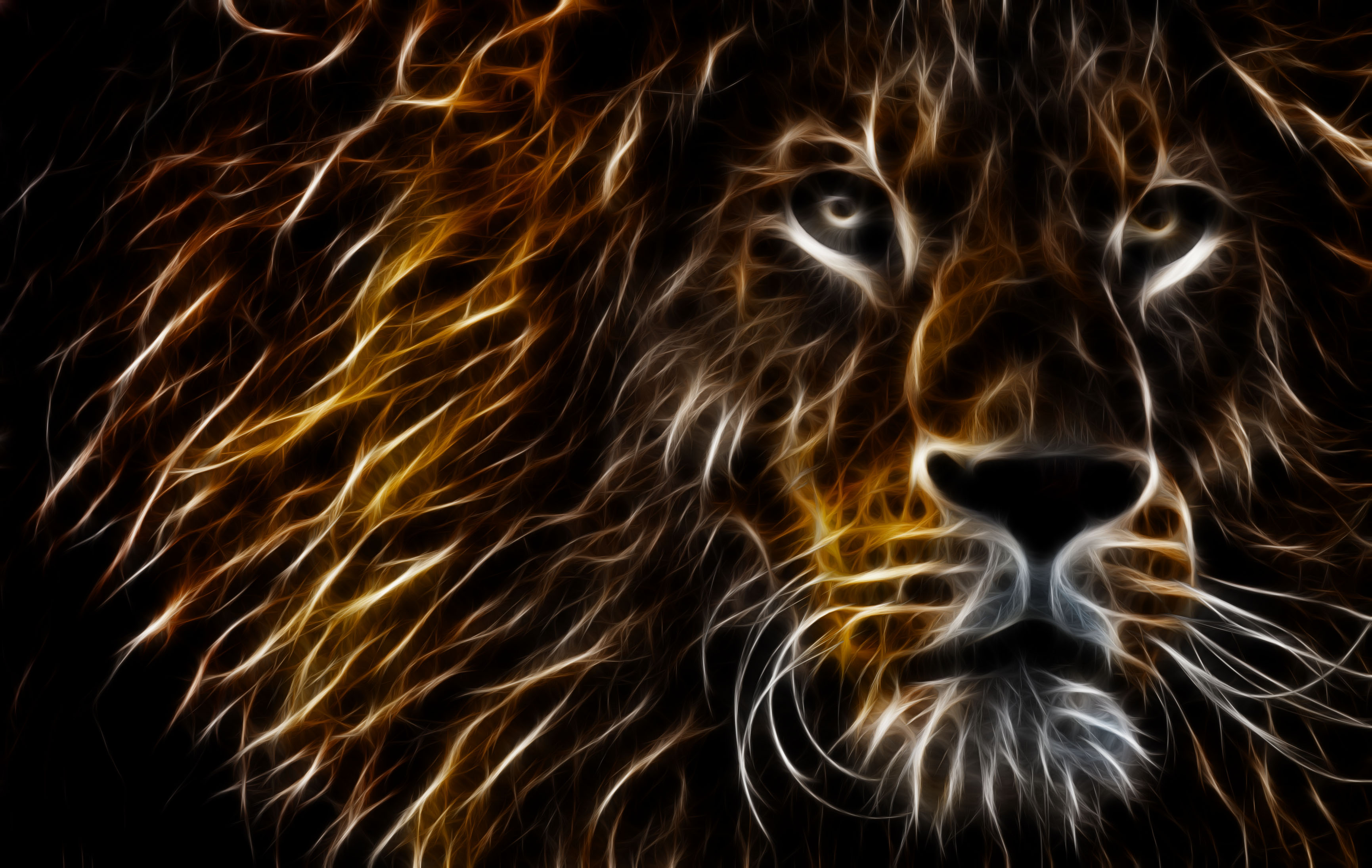 Lion Artistic - HD Wallpaper 