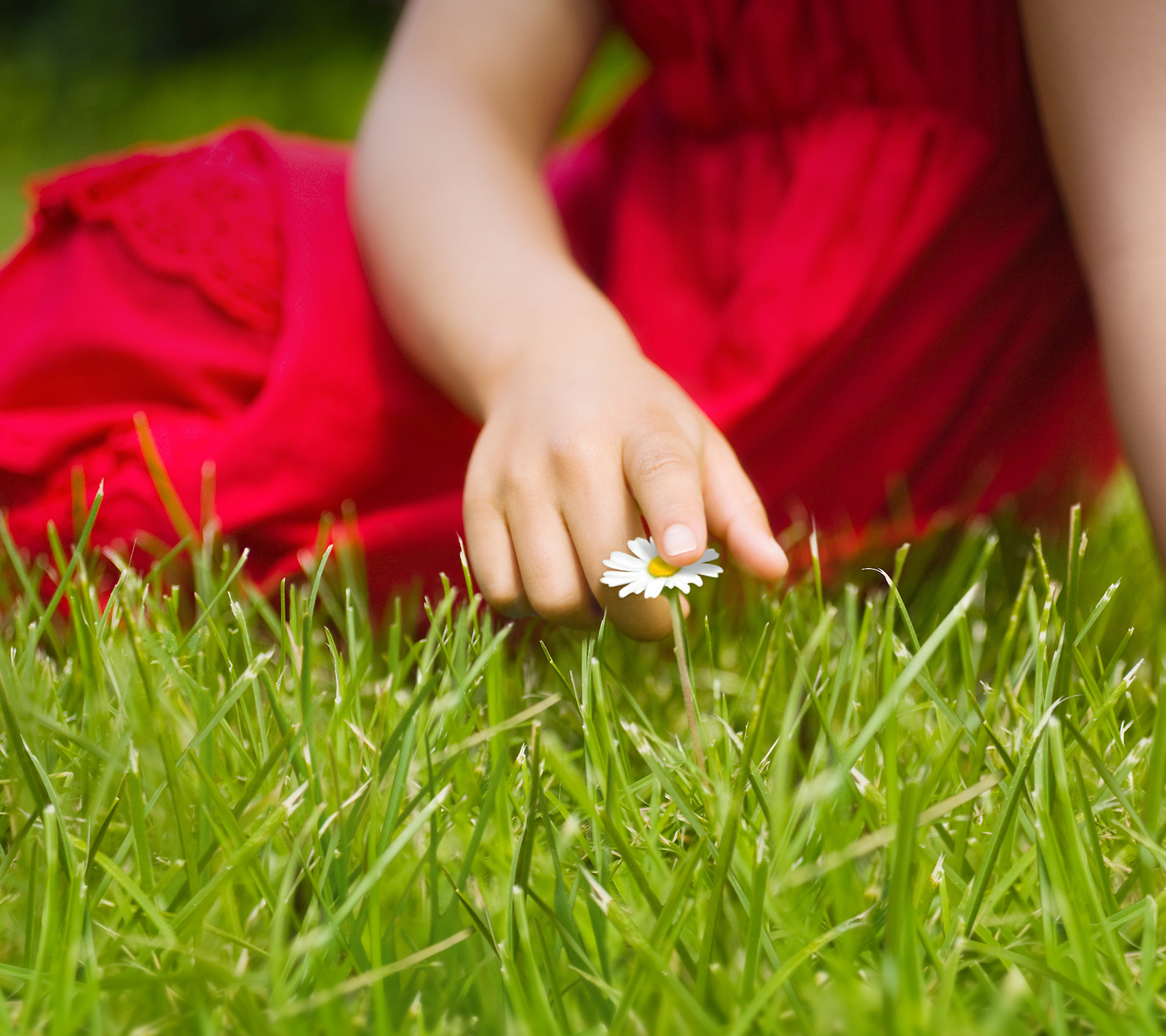 Download Lg G2 Stock Wallpapers - Lg G2 Wallpaper Hd - HD Wallpaper 