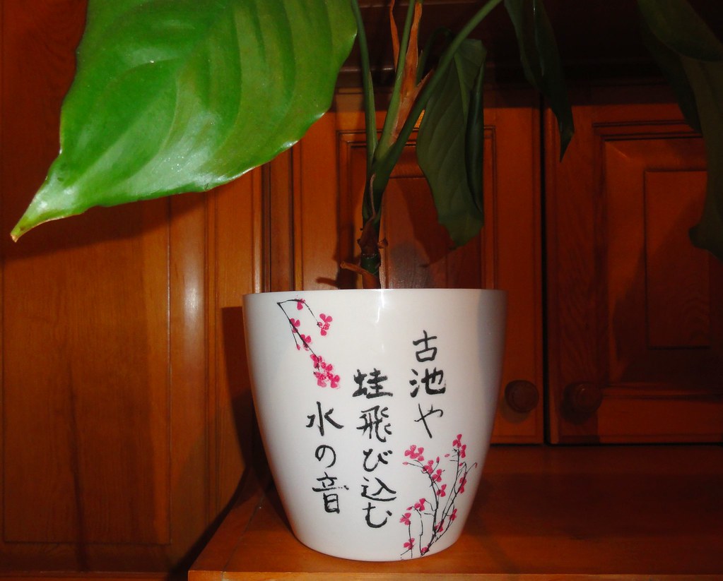 Flowerpot - HD Wallpaper 