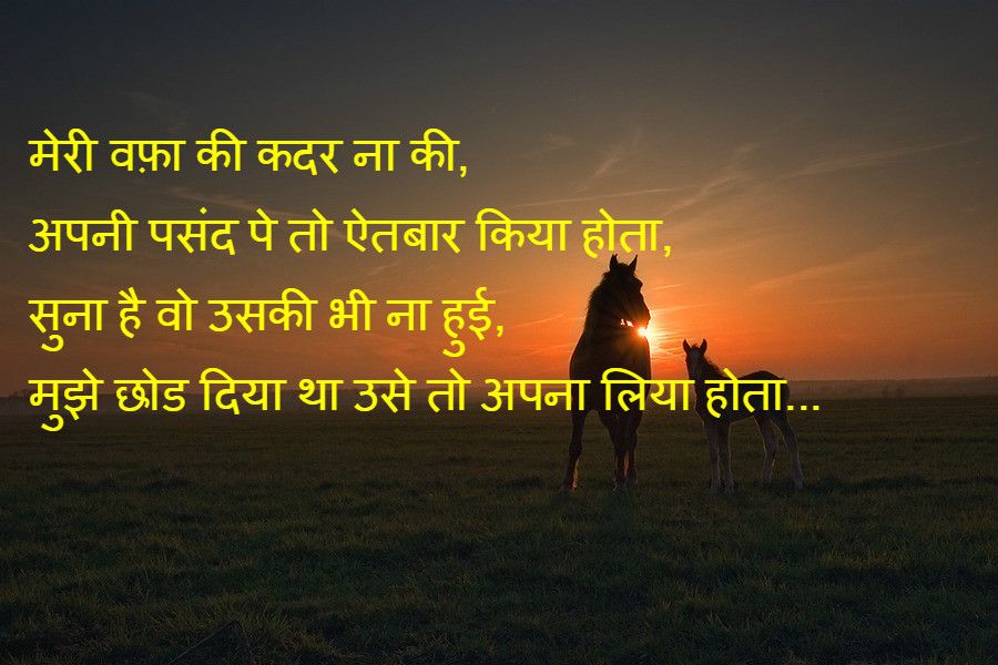 Kedarnath Temple - HD Wallpaper 