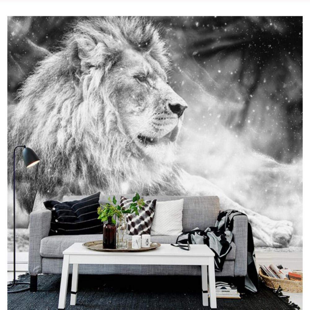 Papier Peint Murale - HD Wallpaper 