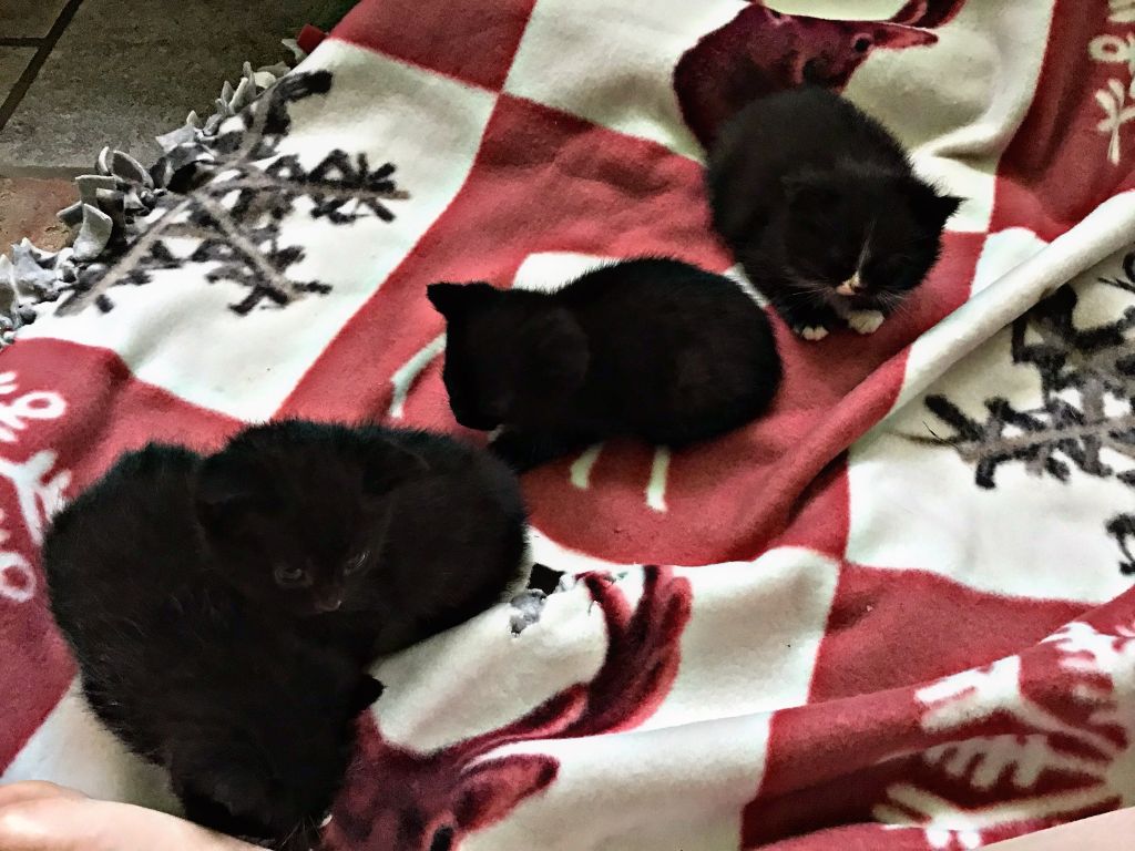 Name Ideas, Anyone 😍😍😍 Also Sorry About The Foot - Quilt - HD Wallpaper 