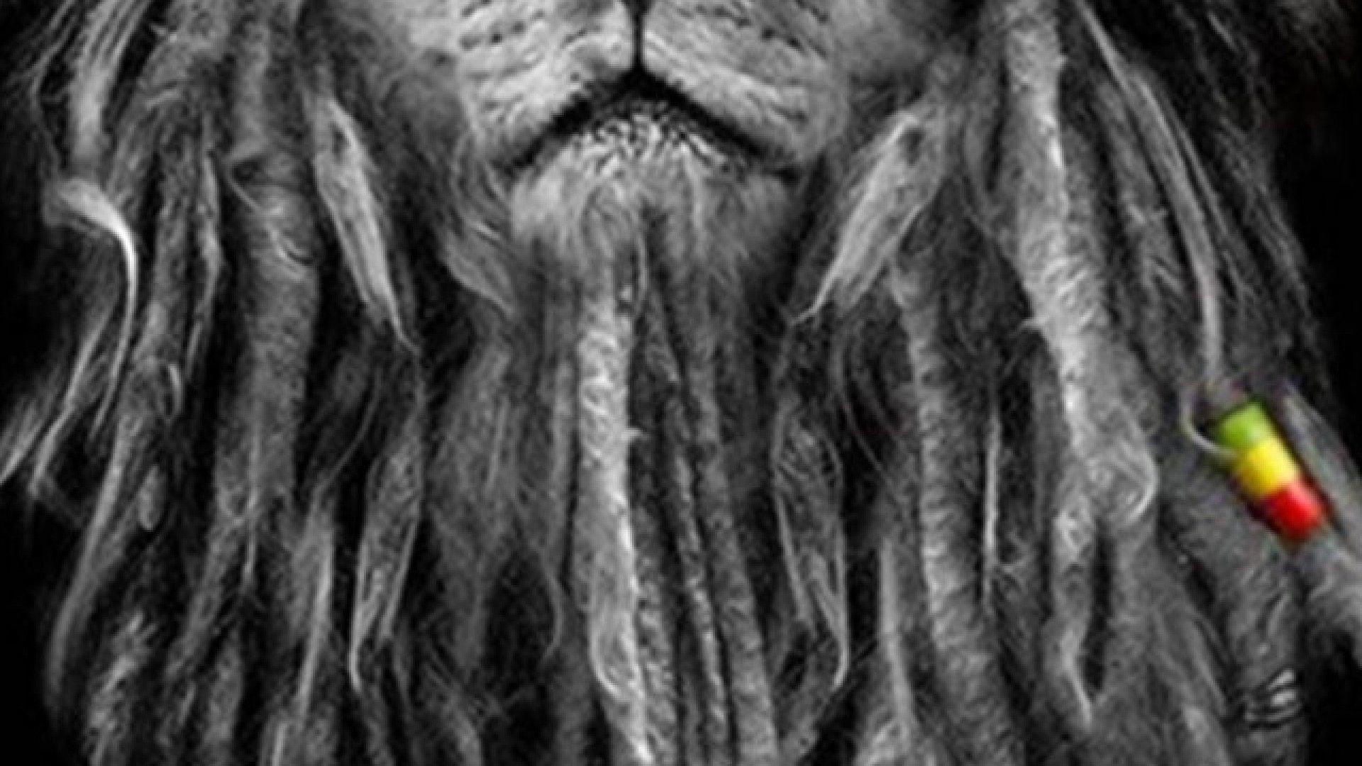 Lion Wallpapers Android Apps On Google Play - Lion Rasta Wallpaper Hd - HD Wallpaper 