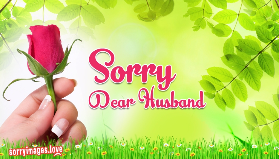 Sorry Dear Husband Image - Eco Friendly Diwali Quotes - HD Wallpaper 