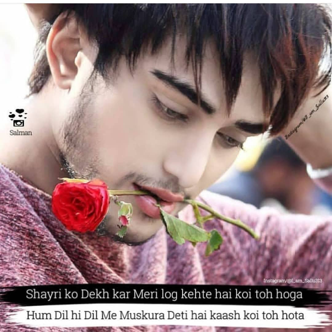 Garden Roses - HD Wallpaper 