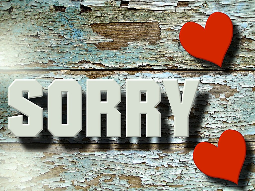 Sorry-1138680 - Say Sorry - HD Wallpaper 