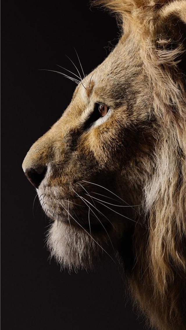 Donald Glover As Simba The Lion King 2019 Iphone Wallpaper - Donald Glover The Lion King - HD Wallpaper 