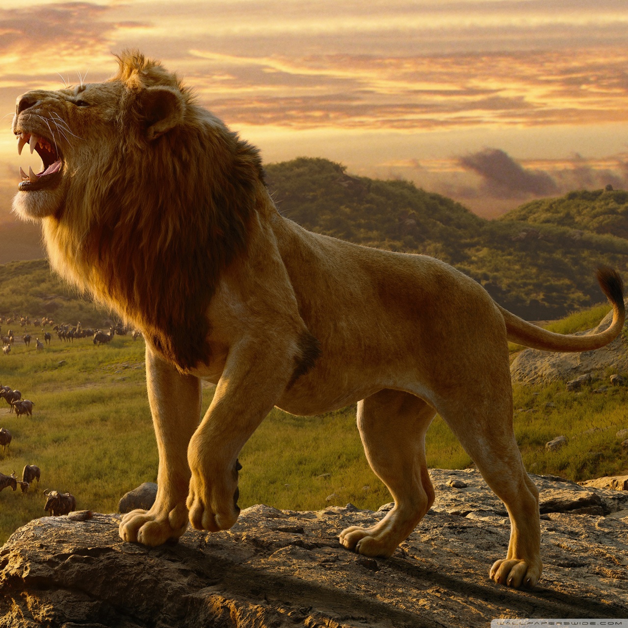 Lion King 2019 No Balls - HD Wallpaper 