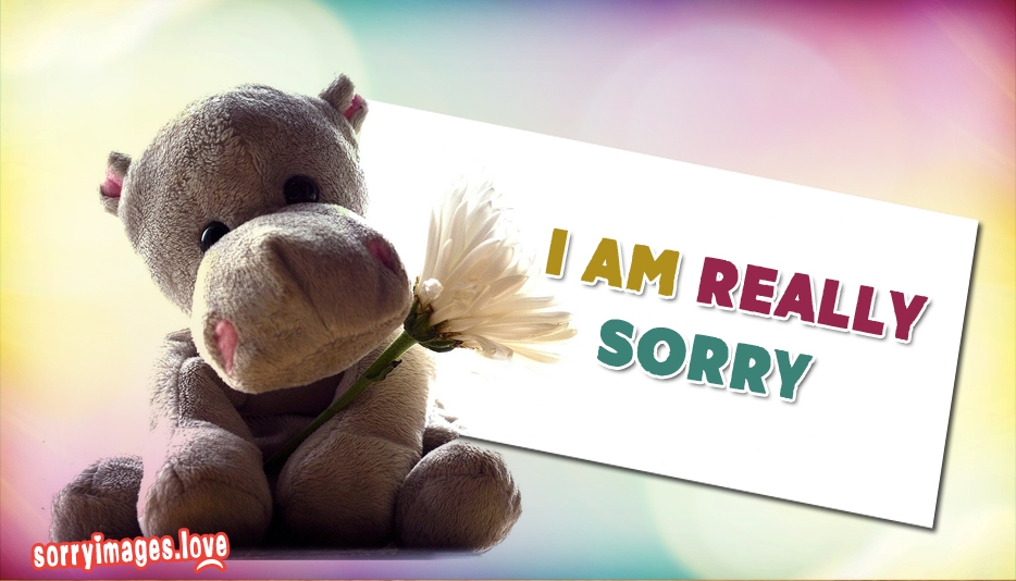 Hippo With A Flower - HD Wallpaper 
