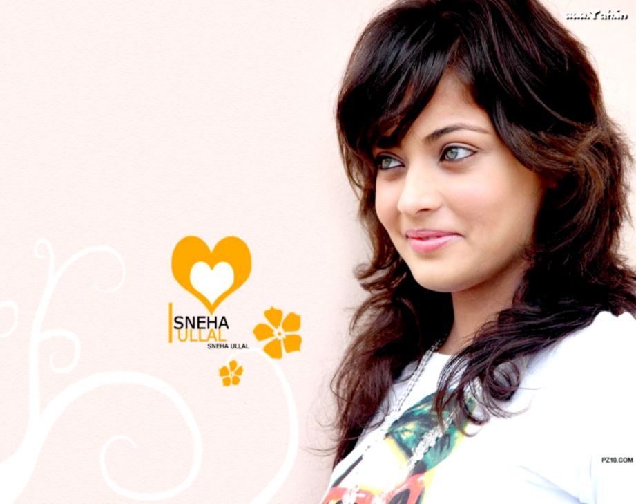 Bollywood Actresses Sneha Ullal Cute Smile Sneha Ullal - Lucky Movie  Actress Name - 921x729 Wallpaper 