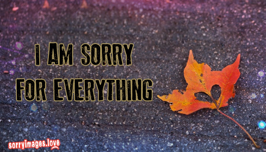 Sorry Images For Whatsapp - Sorry For Everything - HD Wallpaper 