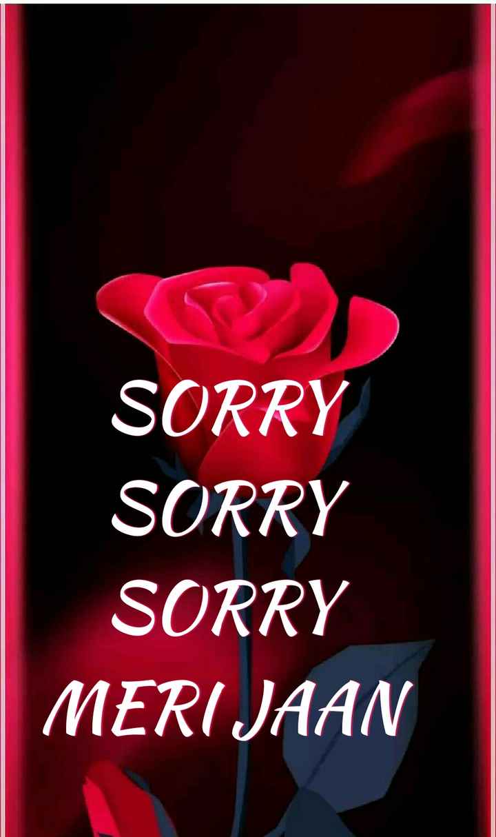 लव फीलिंग 💓 - Garden Roses - HD Wallpaper 