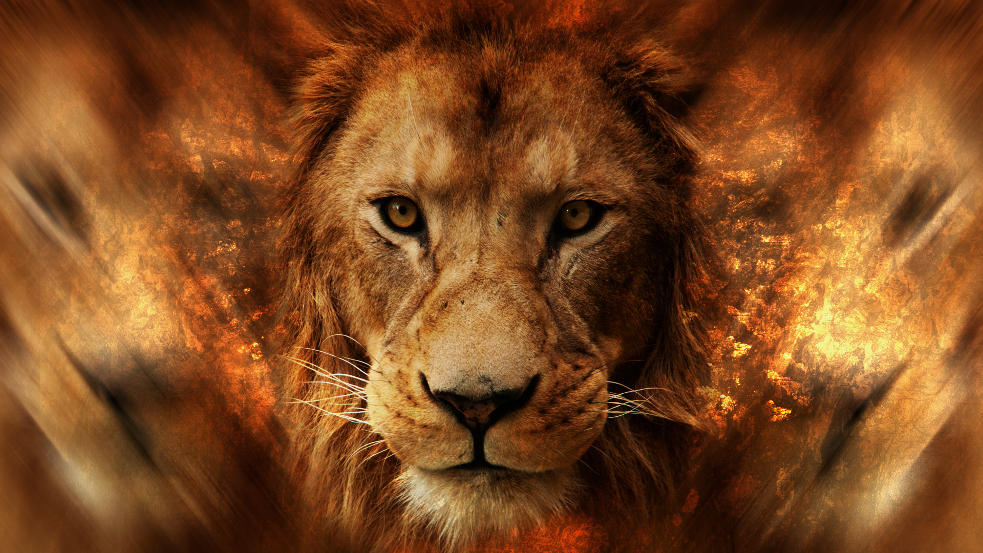 Lion, Face, Animals, Africa - Lion Face Hd - HD Wallpaper 