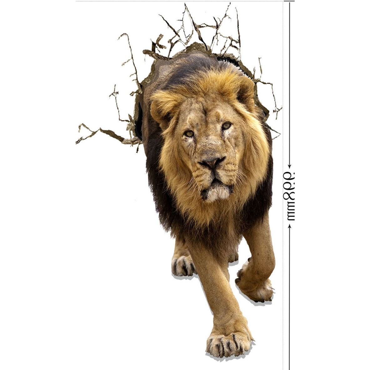 Masai Lion - HD Wallpaper 