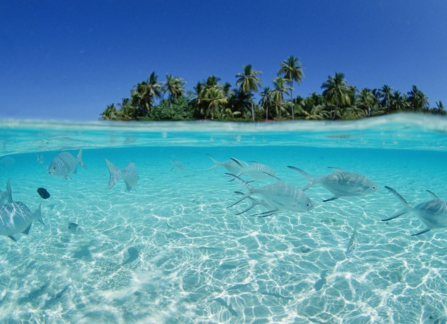 Archipielago Los Roques Venezuela - HD Wallpaper 