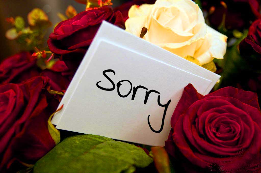 252 Sorry Images Picture Photos Wallpaper For Love - Love Sorry Image  Download - 1024x680 Wallpaper 