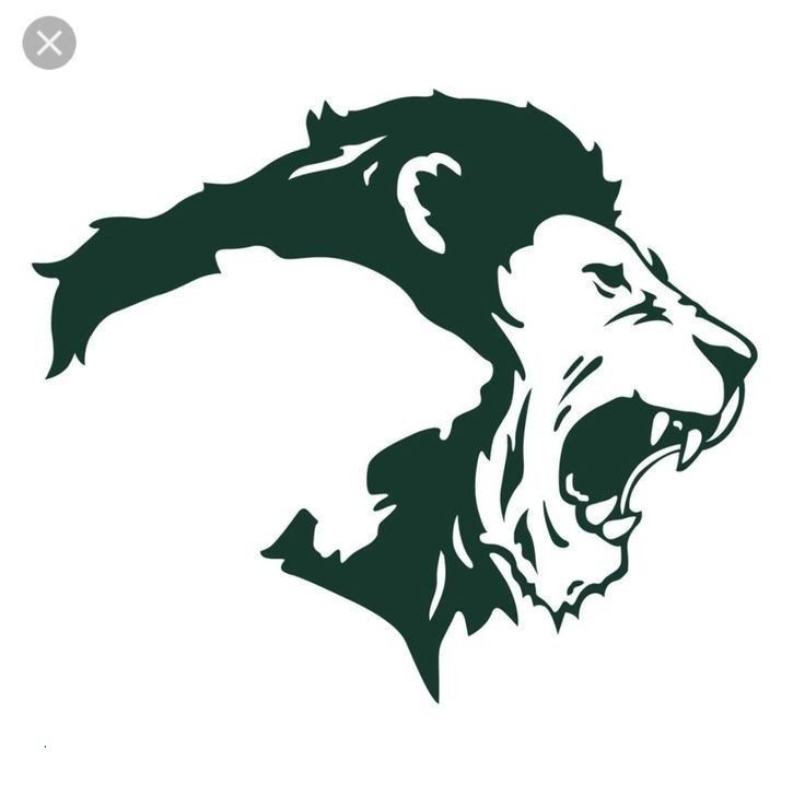 Lion Wallpapers Best Inspiring Color Wallpaper Lion - Weatherford Christian School Logo - HD Wallpaper 