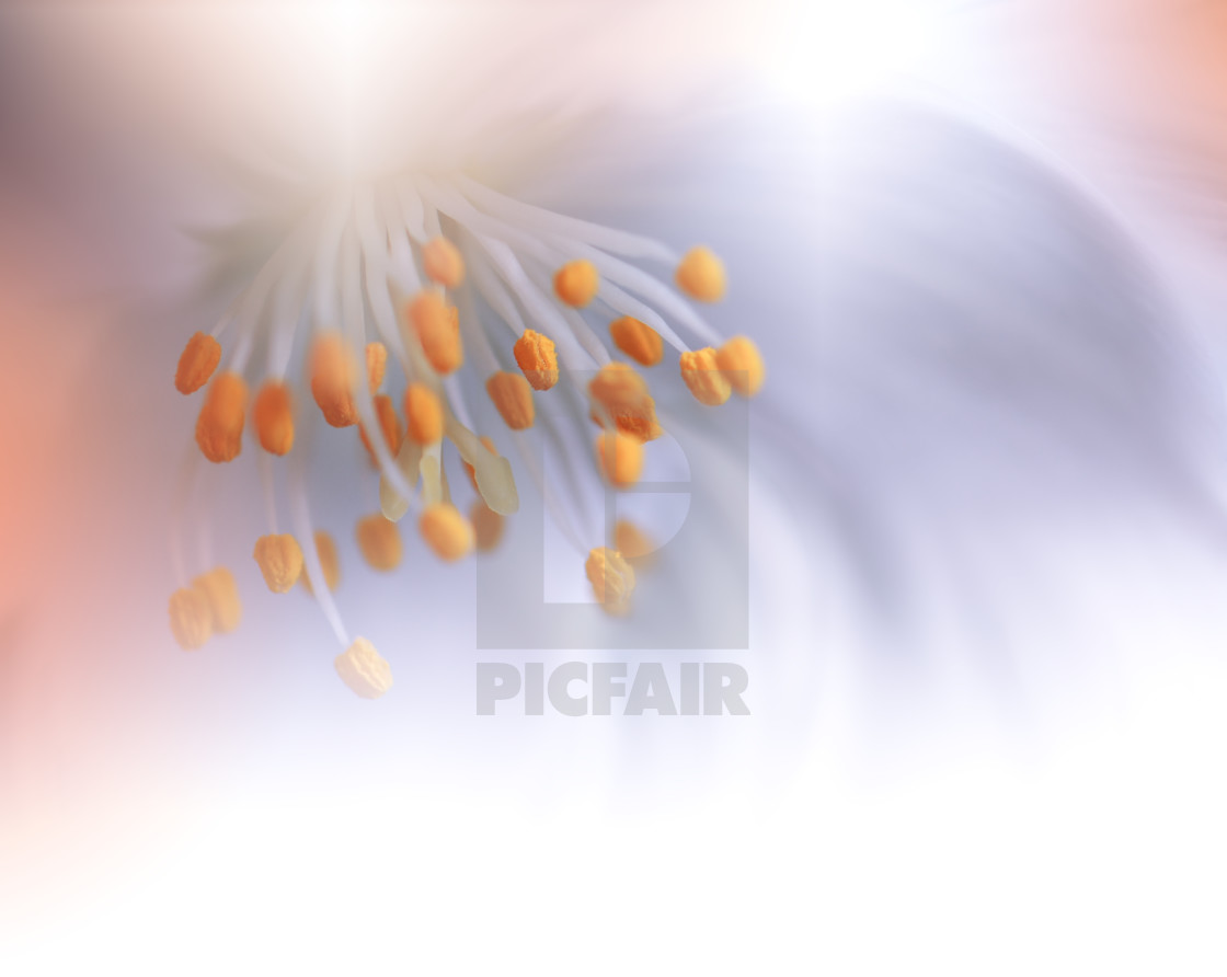 Beautiful Orange Nature Background - Art - HD Wallpaper 