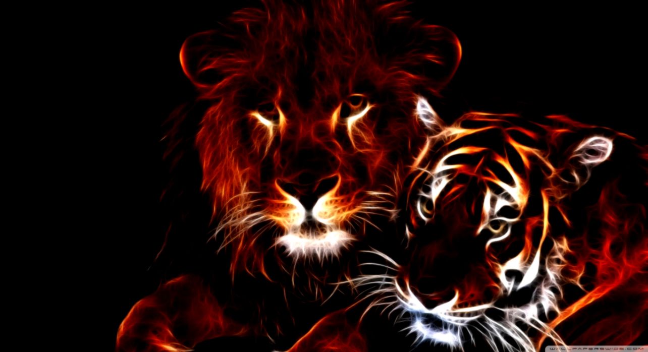 Glowing Lion And Tiger ❤ 4k Hd Desktop Wallpaper For - Hd Tiger And Lion - HD Wallpaper 