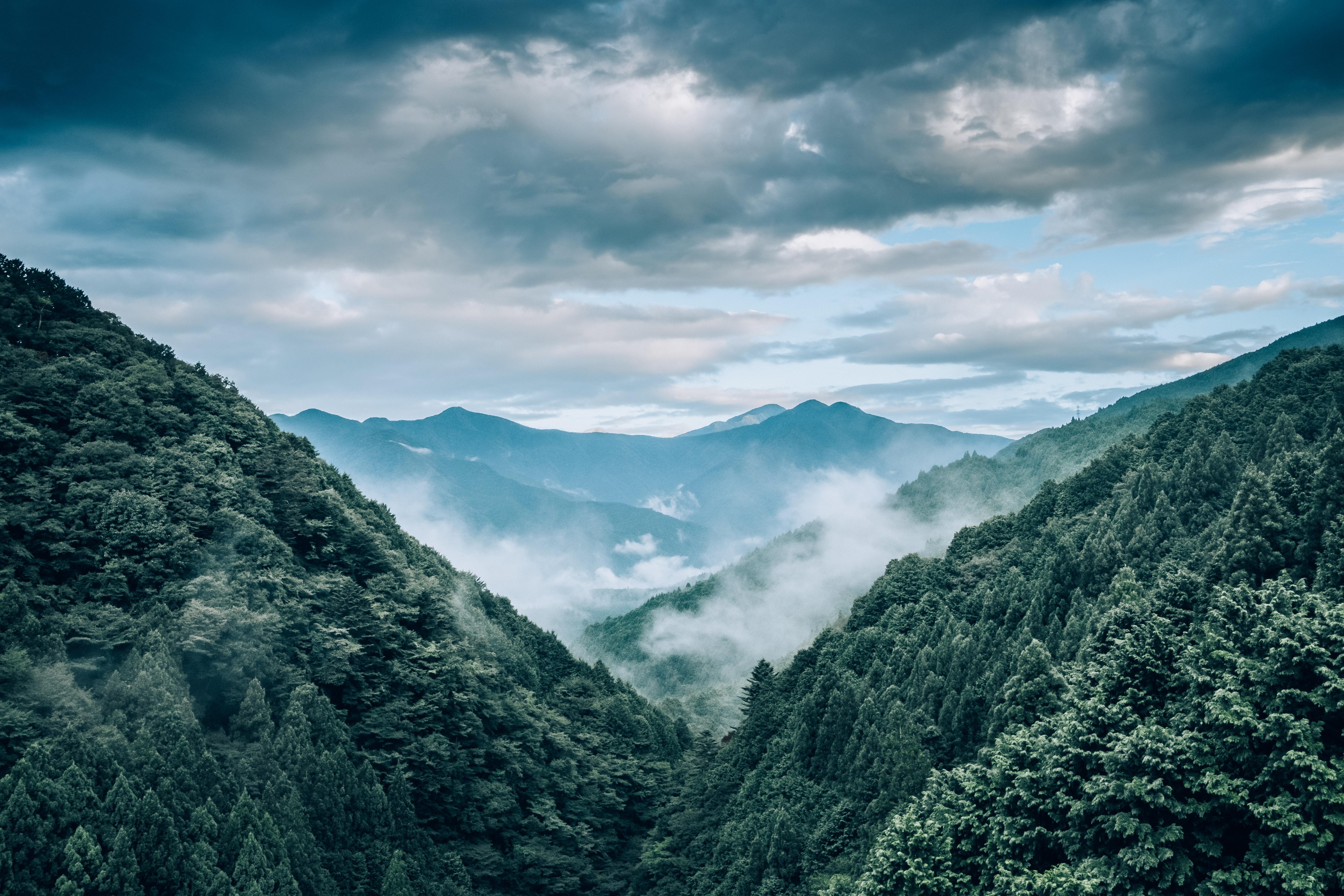 Mountains, Fog, Trees, Aerial View, Landscape - หน้า จอ คอม สวย ๆ - HD Wallpaper 