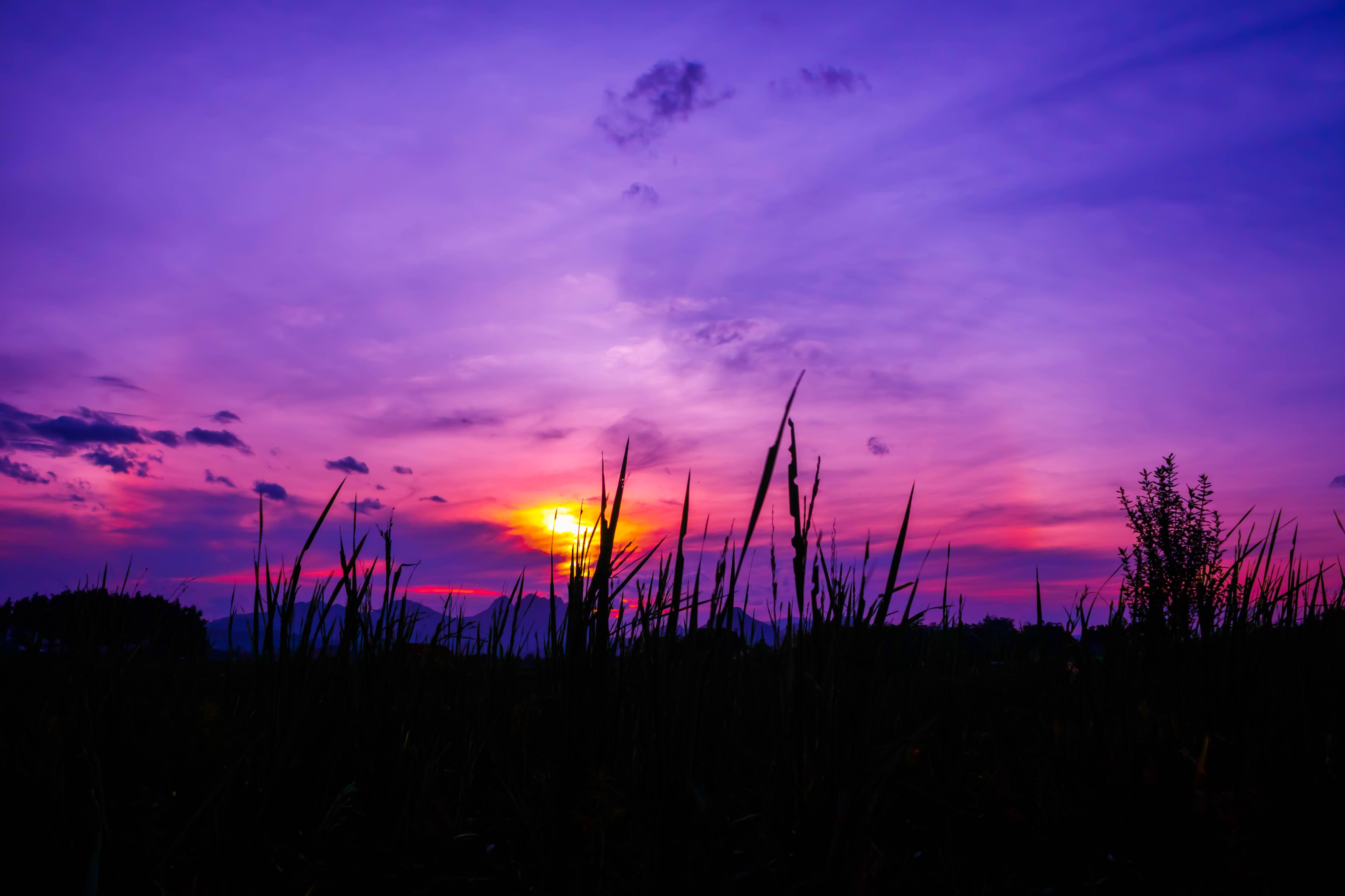 Twilight, Grass, Sky - Twilight Sky - HD Wallpaper 