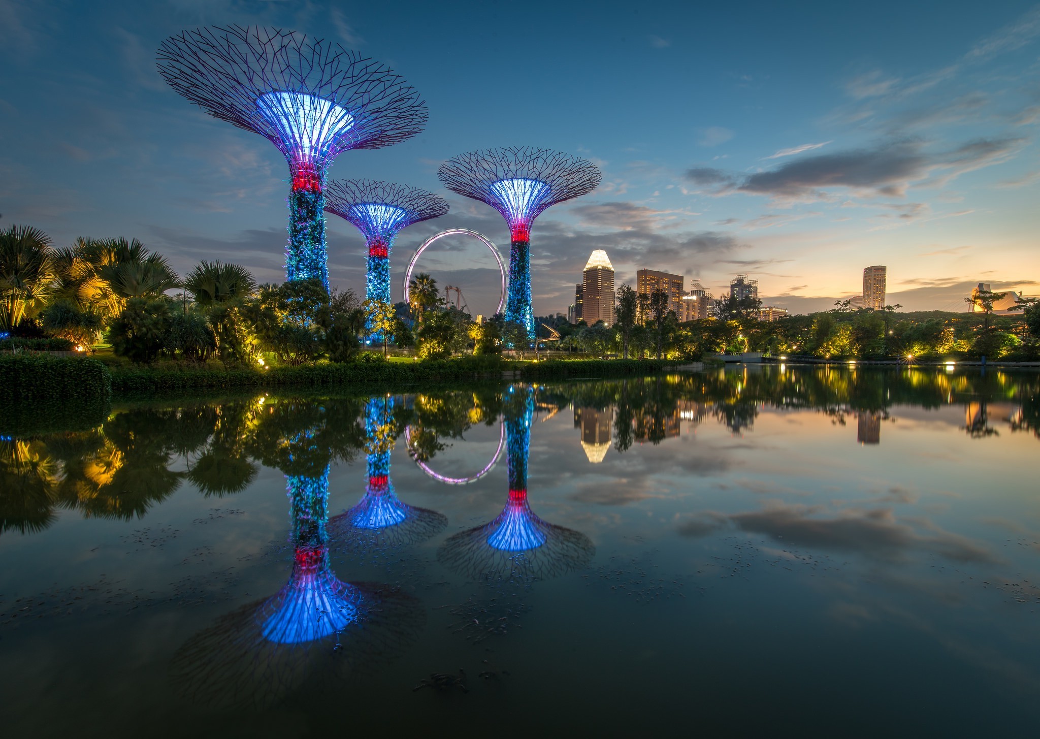 Singapore Nature City Night - 2048x1455 Wallpaper 