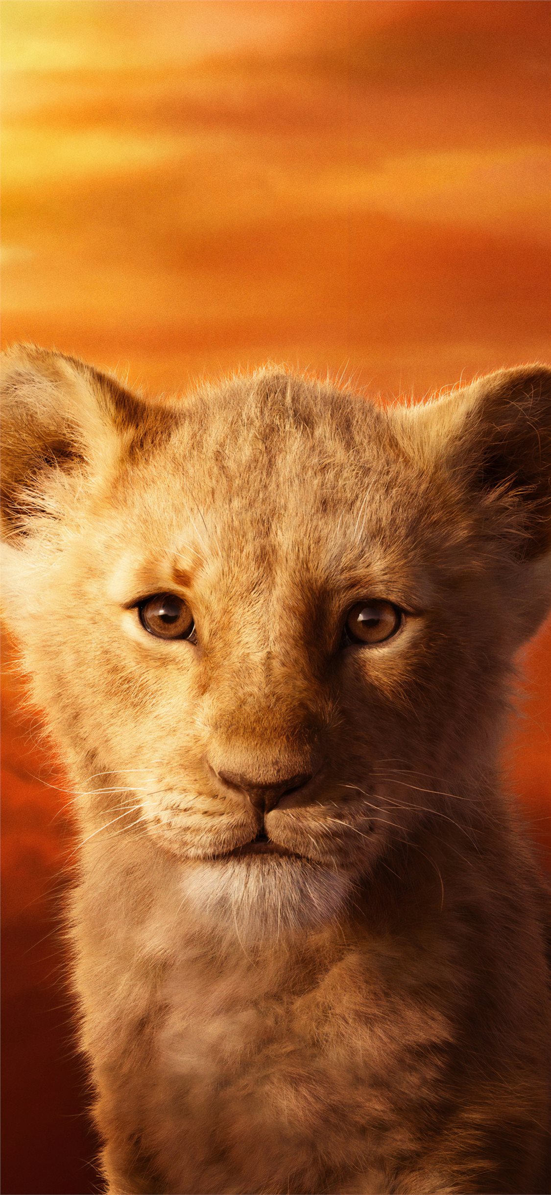 Lion King 2019 Wallpaper Iphone - HD Wallpaper 