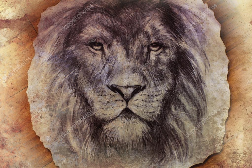 Lion Head Vector Abstract - 1023x682 Wallpaper Lion Head Vector Abstract - 1023x682 Wallpaper