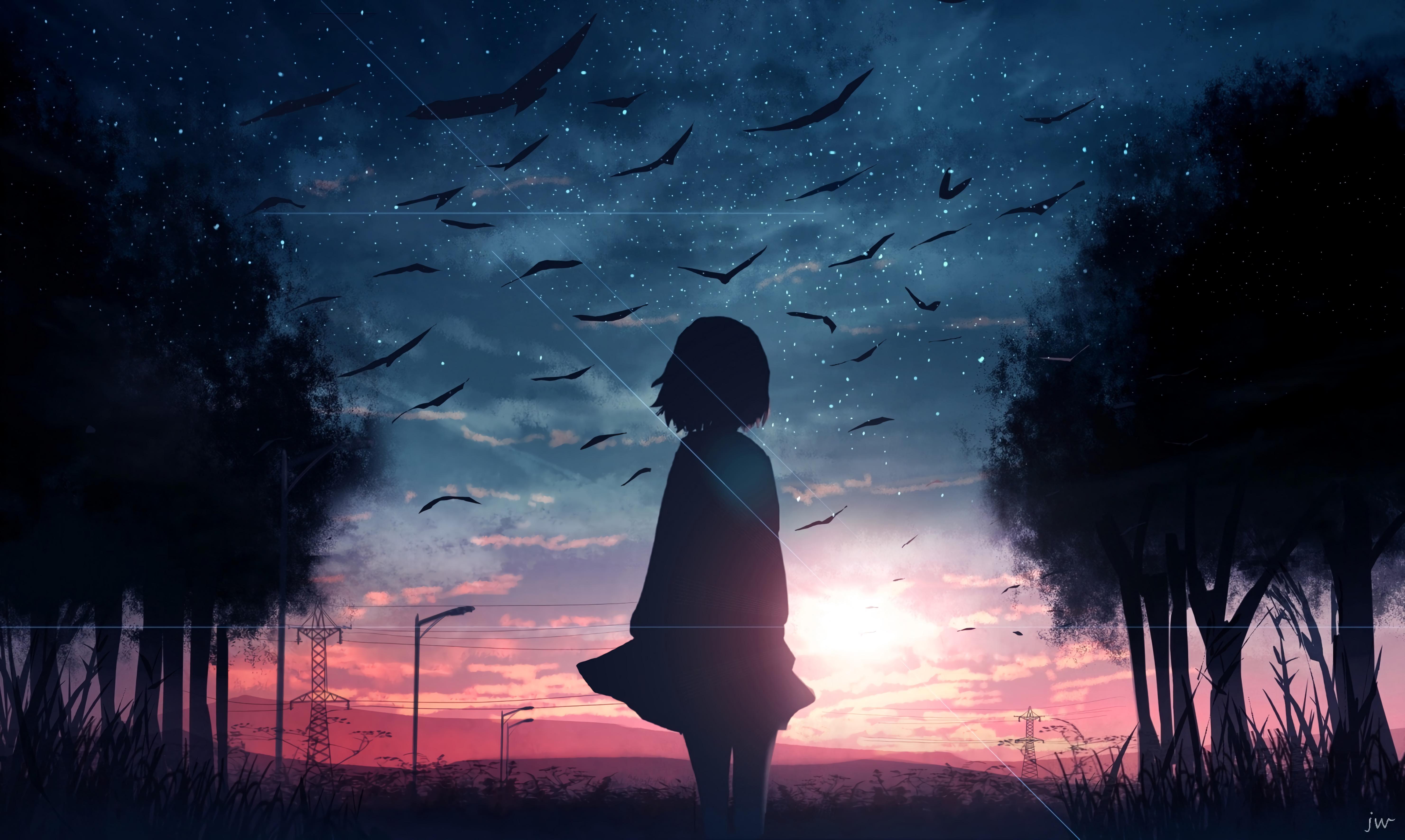 Bayangan Hitam, Matahari Terbenam, Burung, Senja, Seni - Anime Girl Silhouette - HD Wallpaper 