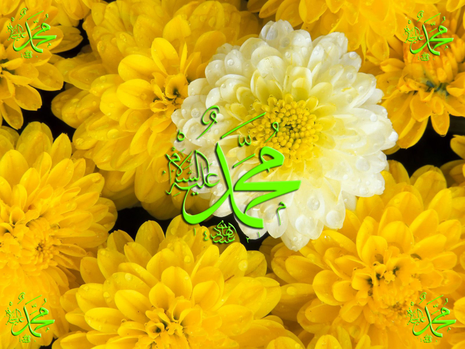 S Name Ke Wallpaper - Flower With Muhammad Name - HD Wallpaper 