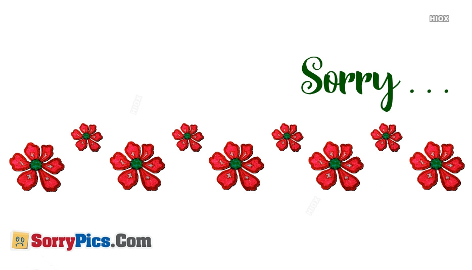 Sorry Wallpaper Hd - HD Wallpaper 