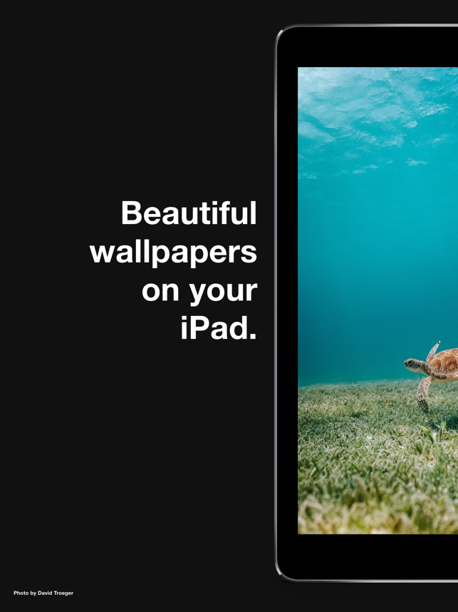 Tablet Computer - HD Wallpaper 