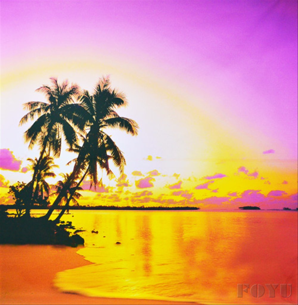 Kumpulan Wallpaper Background Pemandangan Tepi Pantai - Happy Birthday Palm Trees Gif - HD Wallpaper 