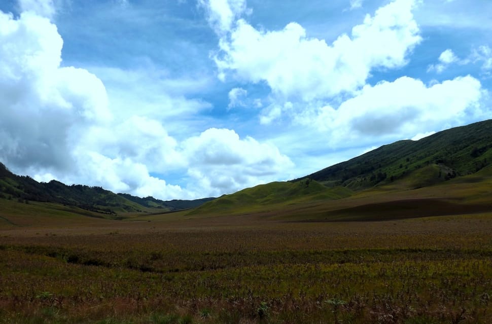 Jawa Timur, Bromo, Savana, Gunung, Cloud - Grassland - HD Wallpaper 
