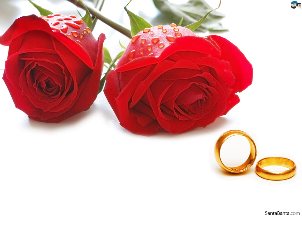 Weddings Wallpaper - Marriage Anniversary Wishes Gifts - HD Wallpaper 