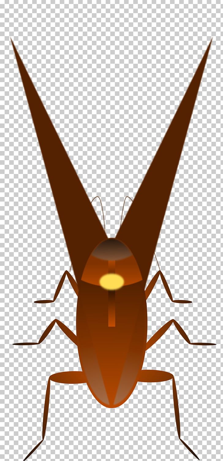 Cockroach Png, Clipart, Animals, Arthropod, Brown Cockroach, - Cockroach Clipart Png - HD Wallpaper 
