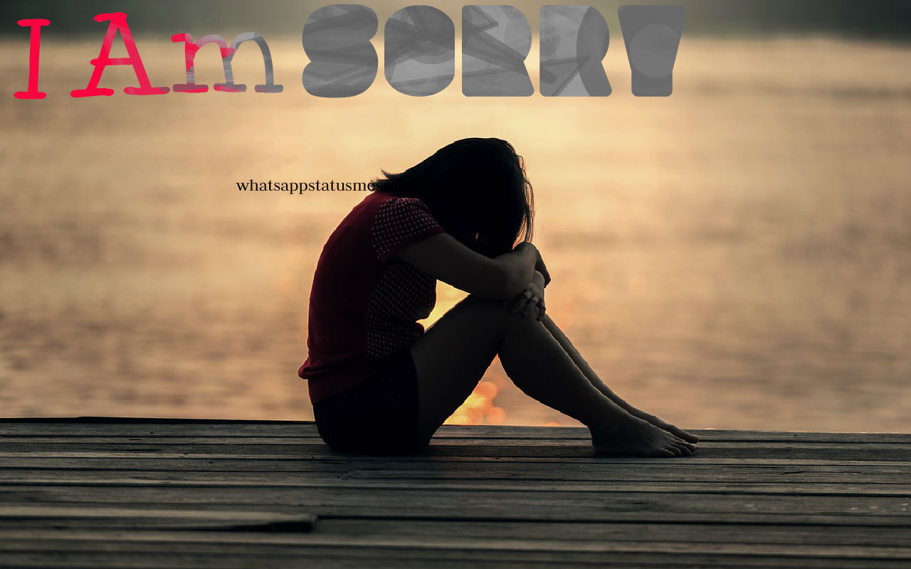 I Am Sorry Images In Hd - Am Sorry Images Hd - HD Wallpaper 