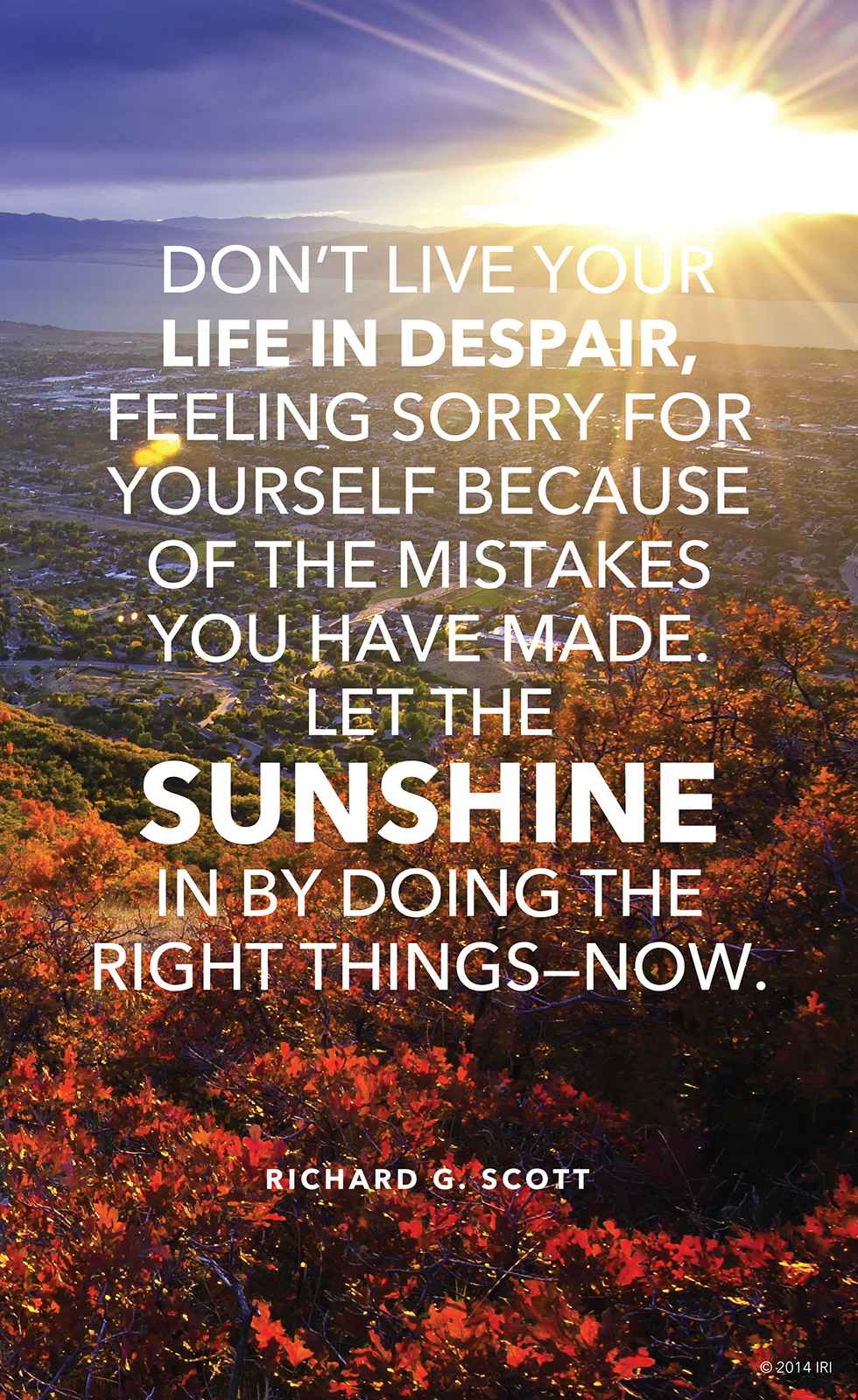 Sunshine In Your Life - HD Wallpaper 