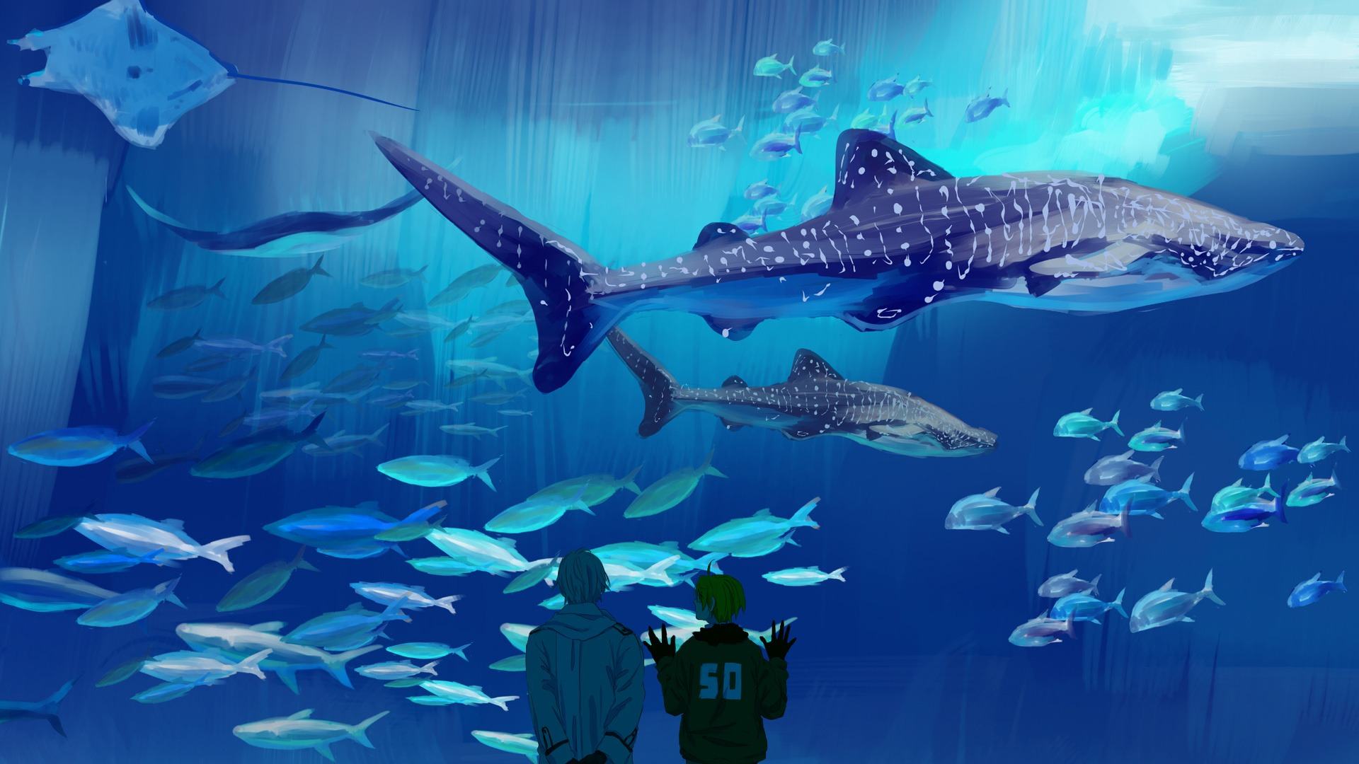 Hd Wallpaper Aquarium 1080p - HD Wallpaper 