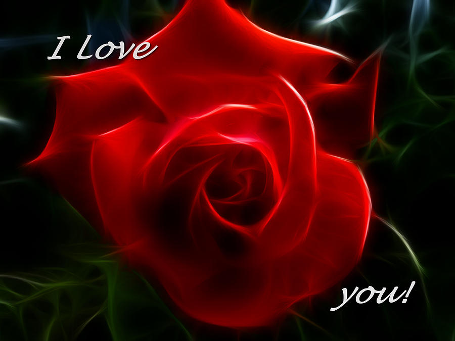Beautiful Red Rose For Love - HD Wallpaper 