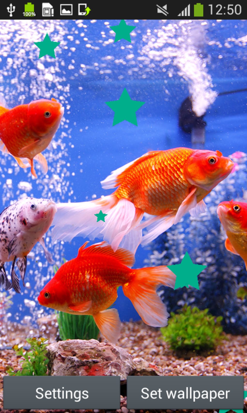 Aquarium Live Wallpapers - HD Wallpaper 