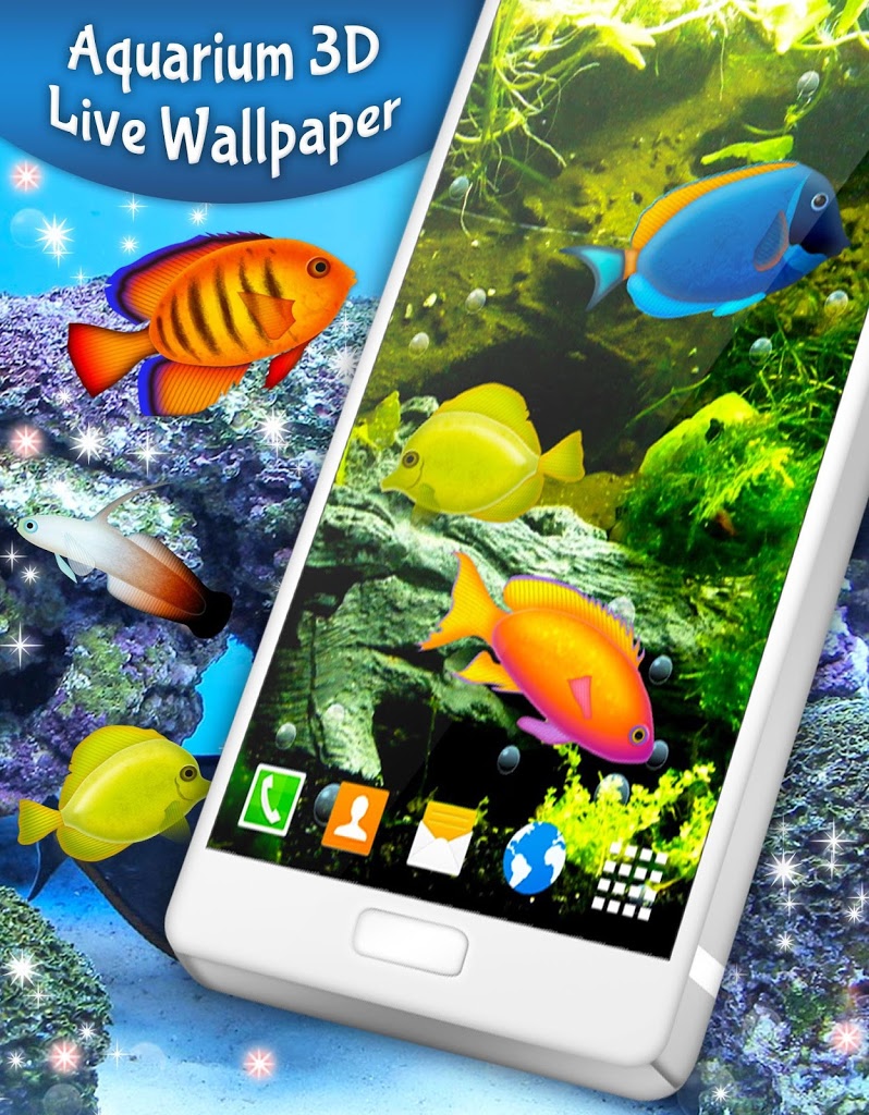 Fish Live Wallpaper - Marine Biology - HD Wallpaper 