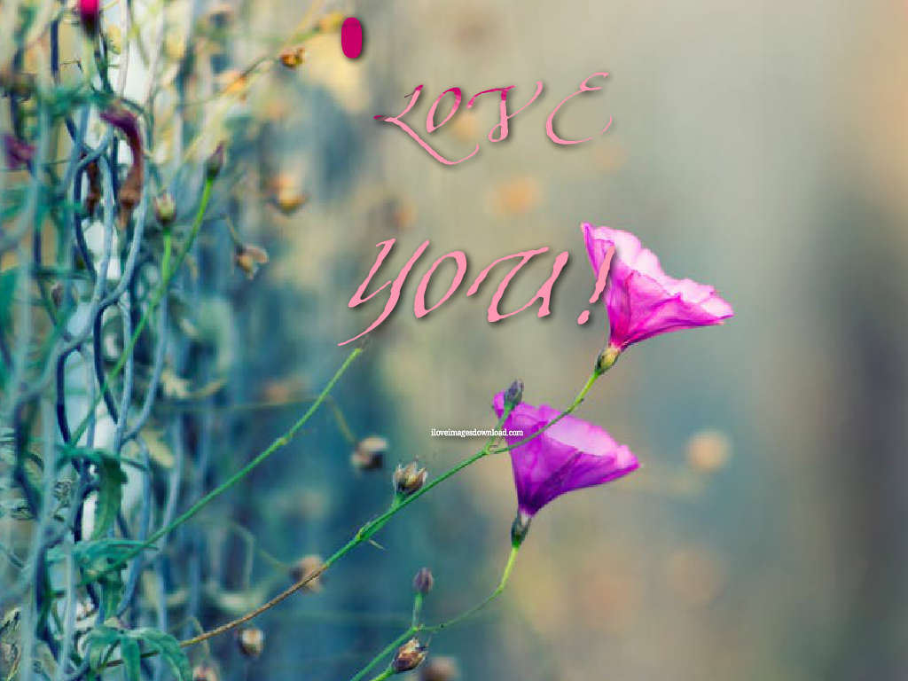 I Love You Images Free Downlod In Hd - Full Hd Images Of Love - HD Wallpaper 